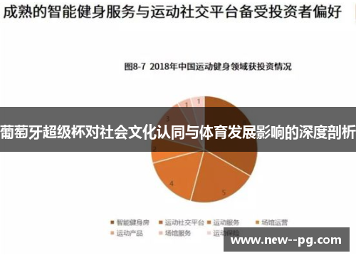 葡萄牙超级杯对社会文化认同与体育发展影响的深度剖析