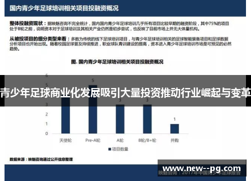 青少年足球商业化发展吸引大量投资推动行业崛起与变革
