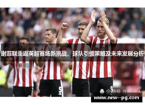 谢菲联重返英超赛场新挑战，球队引援策略及未来发展分析