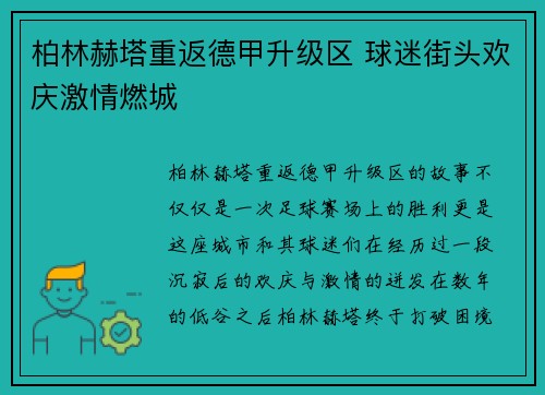 柏林赫塔重返德甲升级区 球迷街头欢庆激情燃城
